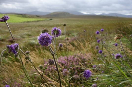 Blog Irland Ballycroy National Park