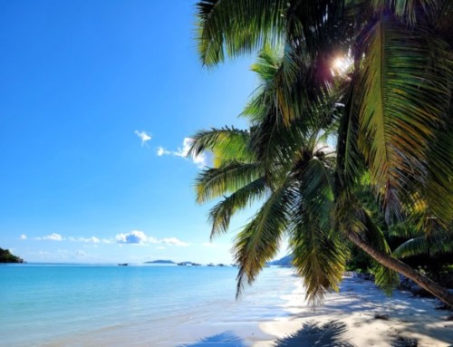 Inselparadies Seychellen – Traumhafte Aussichten auf Mahé und Praslin
