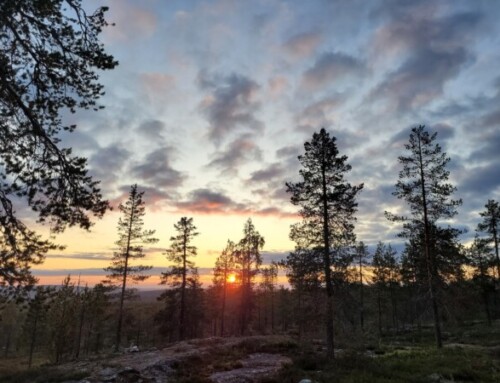Rovaniemi – Sommerfrische in Finnisch Lappland