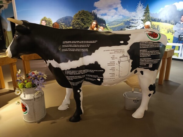 © Barbara Blunschi reisen-lifestyle.ch Maison Cailler – Ohne Milch gibts auch keine Milchschokolade.