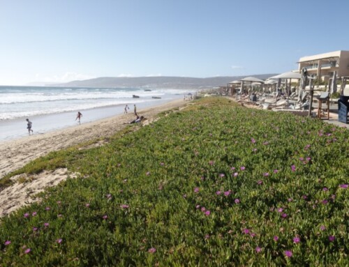Marokko –Top Tipps für eine entspannte Reise nach Agadir und Taghazout