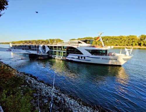 MS Edelweiss – Der Flussfahrten-Klassiker auf dem Rhein