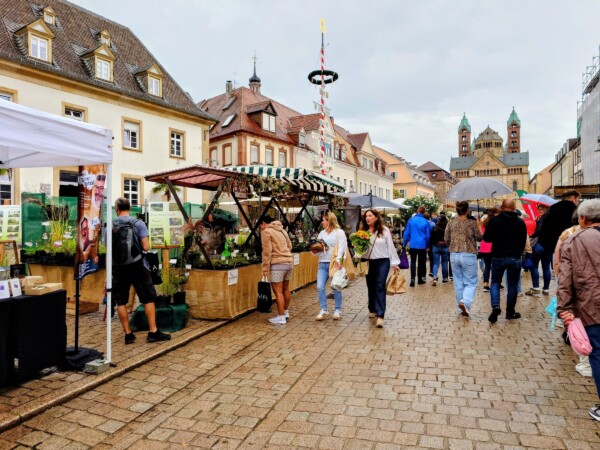 © Barbara Blunschi reisen-lifestyle.ch Marktstände säumen die Maximilianstrasse in Speyer.