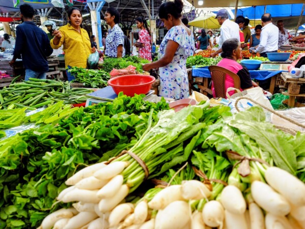 © Barbara Blunschi reisen-lifestyle.ch Sri Lanka Am Donnerstag und Sonntag ist Markt in Tissamaharama.