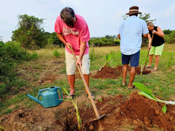 © Barbara Blunschi reisen-lifestyle.ch Sri Lanka Die Gäste des Thaulle Ayurveda Resorts beim Pflanzen eines Baums in der zum Hotel gehörenden Farm.